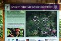 Festival Moruše čiernej, Pukanec, 1.9.2018 Festival Moruše čiernej, Pukanec, 1.9.2018