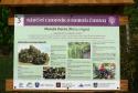 Festival Moruše čiernej, Pukanec, 1.9.2018 Festival Moruše čiernej, Pukanec, 1.9.2018