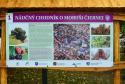Festival Moruše čiernej, Pukanec, 1.9.2018 Festival Moruše čiernej, Pukanec, 1.9.2018
