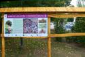 Festival Moruše čiernej, Pukanec, 1.9.2018 Festival Moruše čiernej, Pukanec, 1.9.2018